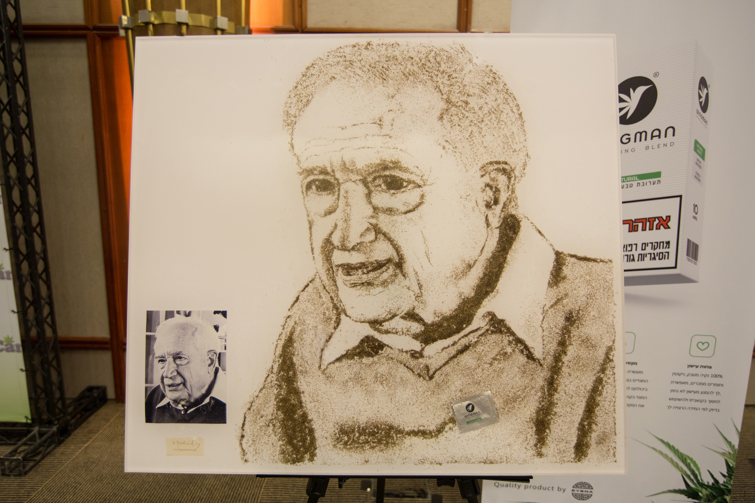 Prof. Raphael Mechoulam portrait in herbs 3