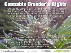 Download a free copy of Cannabis Breeder's Rights
