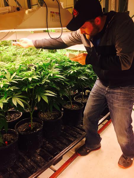 Mike working hard in the veg room.
