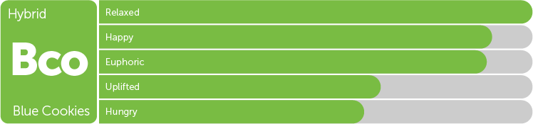 Leafly Blue Cookies hybrid cannabis strain tile and effects