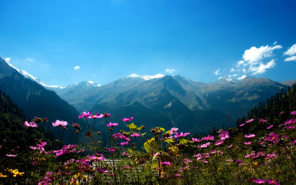 View of Parvati Valley