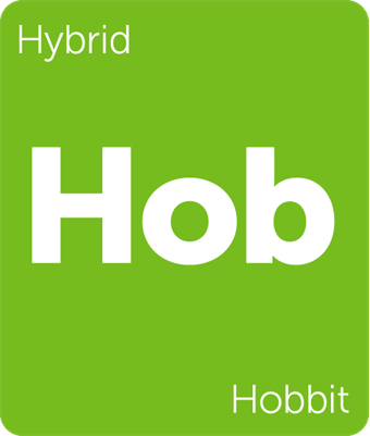 Hobbit cannabis strain Leafly