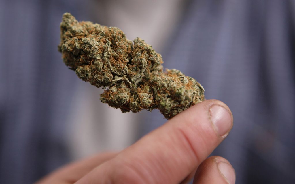 A bud of legally grown marijuana is held by a cancer patient in Portland, Maine. (AP Photo/Robert F. Bukaty, File)