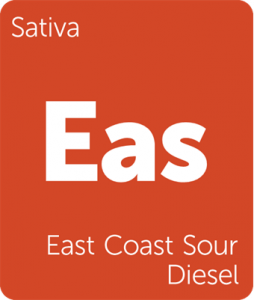 Leafly East Coast Sour Diesel sativa cannabis strain