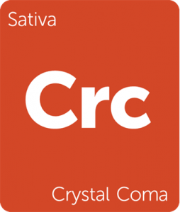 Leafly Crystal Coma sativa cannabis strain