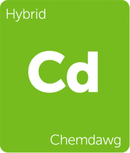 Leafly Chemdawg hybrid cannabis strain