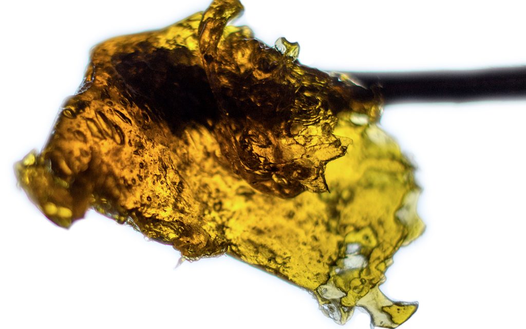 concentrate-firefly-4