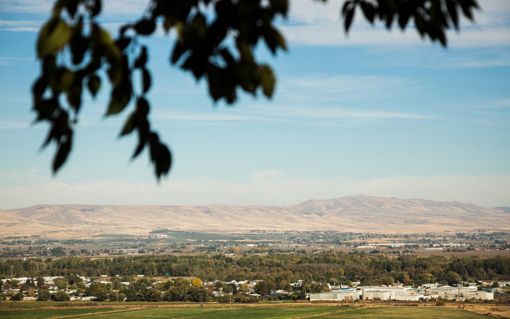 Union Gap, Washington, photographed Wednesday, October 12, 2016. (Jordan Stead for Leafly)