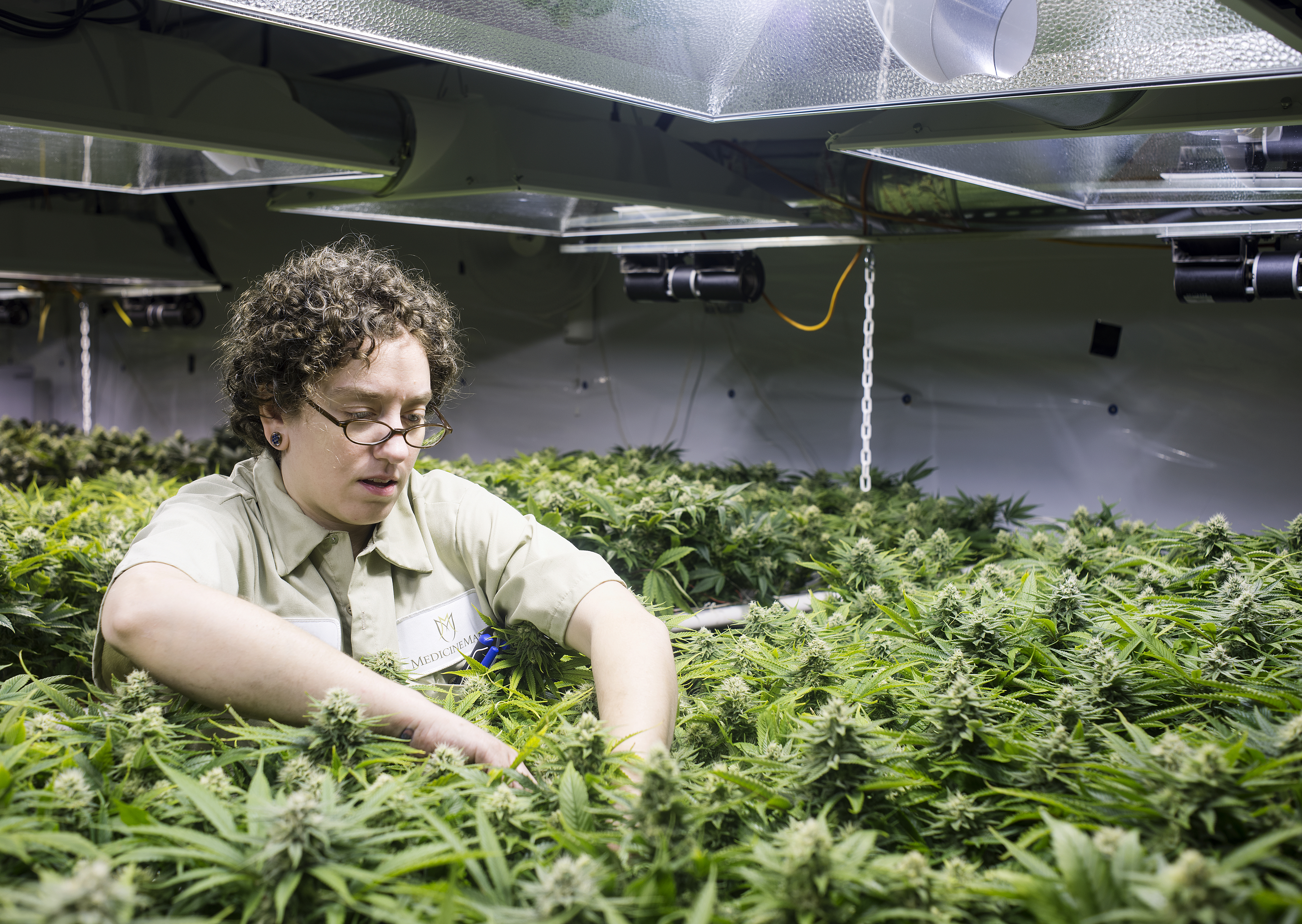 Recreational Marijuana at Medicine Man in Denver, Colorado, Monday, January 13, 2013. Photo by Matt Nager