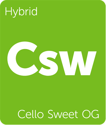 Leafly hybrid Cello Sweet OG cannabis strain tile