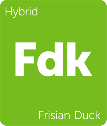 Leafly hybrid Frisian Duck cannabis strain tile