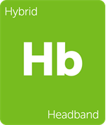 Leafly Headband hybrid cannabis strain tile