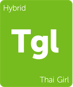 Leafly Thai Girl hybrid cannabis strain tile