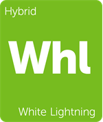 Leafly White Lightning hybrid cannabis strain tile