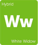 Leafly White Widow hybrid cannabis strain tile