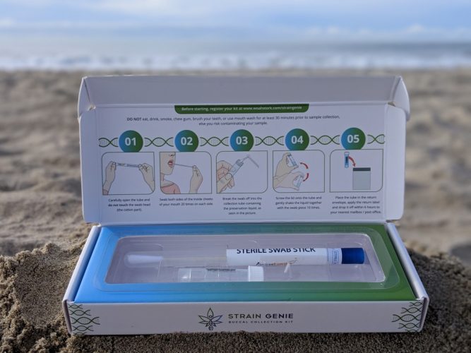 DNA Test Kit for Cannabis
