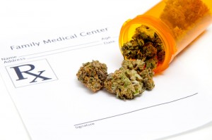 Hawaii Medical Marijuana Doctor Registration