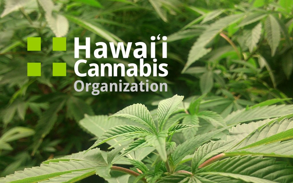Hawaii Cannabis