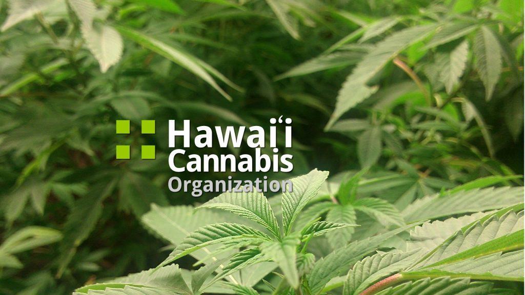 Hawaii Cannabis Organization