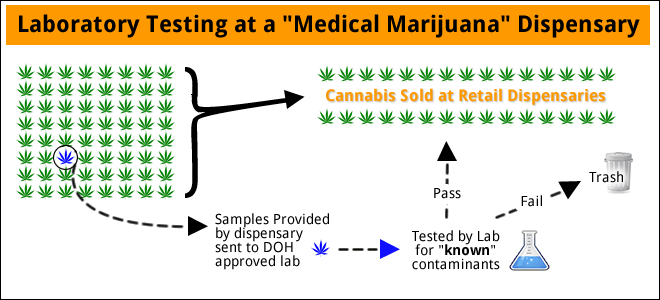 laboratory-testing-at-medical-marijuana-dispensary