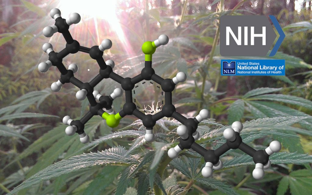 National Institutes of Health Medical Cannabis Research