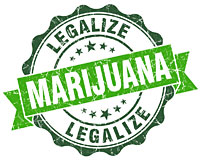 Help NORML Legalize Marijuana