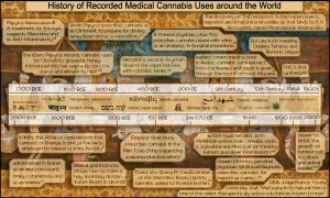 Cannabis History Timeline - infographic by Owen Smith · Graphic Designer at Cannabis Digest