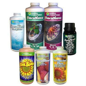 marijuana nutrients, growing marijuana, big marijuana buds