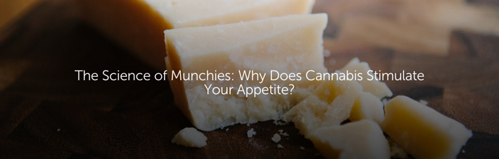 The Science of Munchies: Why Does Cannabis Stimulate Your Appetite?