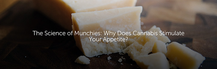 science of cannabis munchies and appetite