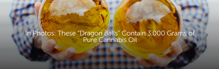 In Photos: These “Dragon Balls” Contain 3,000 Grams of Pure Cannabis Oil