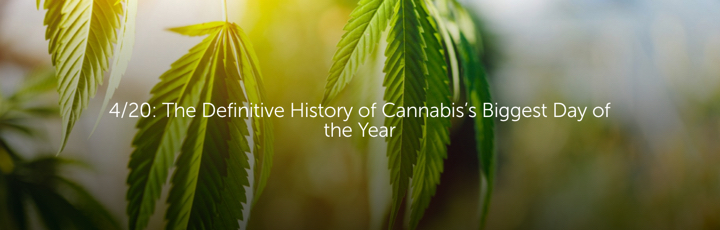 4/20: The Definitive History of Cannabis’s Biggest Day of the Year