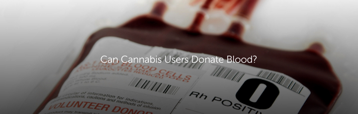 Can Cannabis Users Donate Blood?