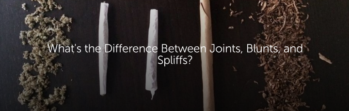 What's the Difference Between Joints, Blunts, and Spliffs?