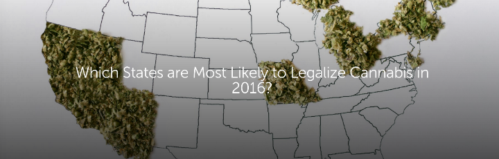  Which States are Most Likely to Legalize Cannabis in 2016?