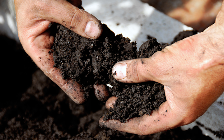 Soil for plants