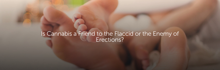Is Cannabis a Friend to the Flaccid or the Enemy of Erections?