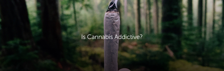 Is Cannabis Addictive?