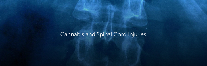 Cannabis and Spinal Cord Injuries