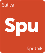 Leafly Sputnik sativa cannabis strain tile