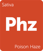 Leafly sativa Poison Haze cannabis strain tile