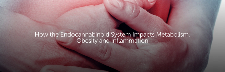 How the Endocannabinoid System Impacts Metabolism, Obesity and Inflammation