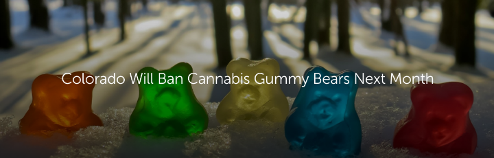  Colorado Will Ban Cannabis Gummy Bears Next Month