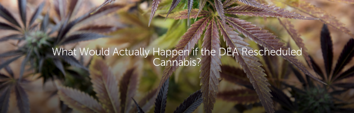 What Would Actually Happen if the DEA Rescheduled Cannabis?