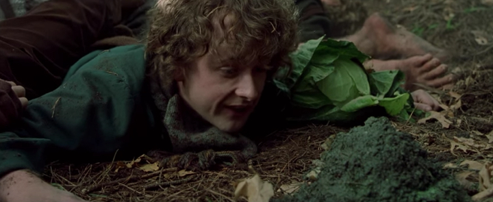 Pip almost getting a face full of poop in The Fellowship of the Rings