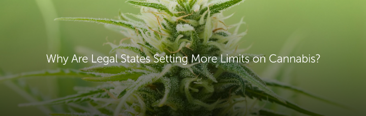  Why are Legal States Setting More Limits on Cannabis?