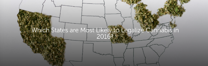 Which States are Most Likely to Legalize Cannabis in 2016?