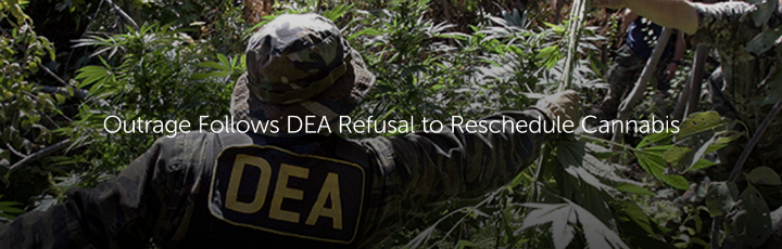 BREAKING: Outrage Follows DEA Refusal to Reschedule Cannabis