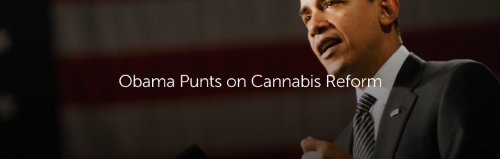  Obama Punts on Cannabis Reform