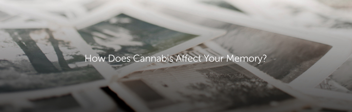 How Does Cannabis Affect Your Memory?